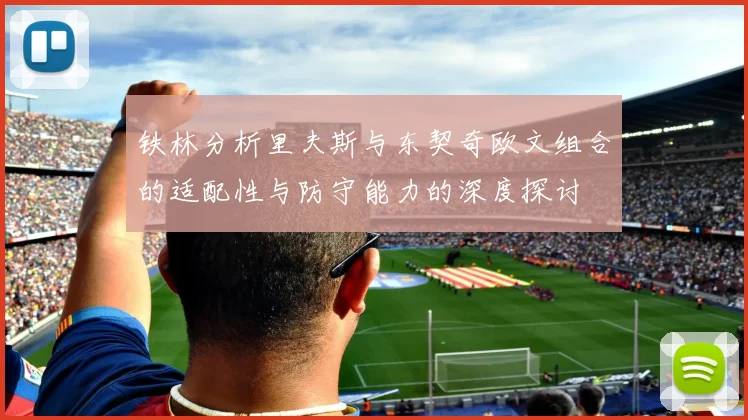 铁林分析里夫斯与东契奇欧文组合的适配性与防守能力的深度探讨