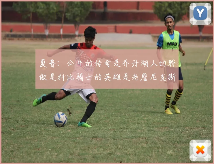 夏普：公牛的传奇是乔丹湖人的骄傲是科比骑士的英雄是老詹尼克斯的希望是布伦森